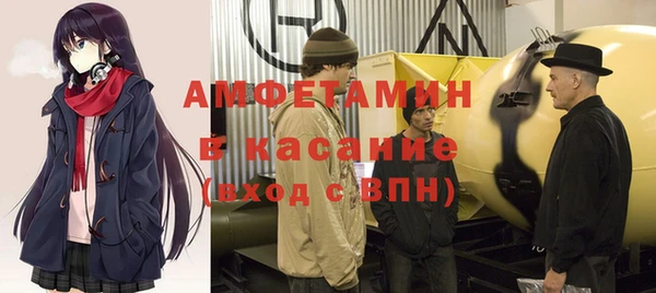 гашик Алексин