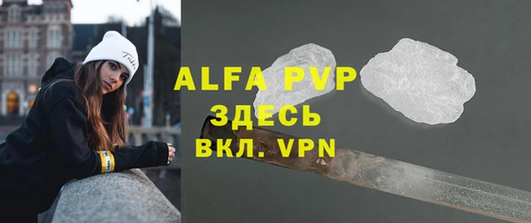 гашик Алексин