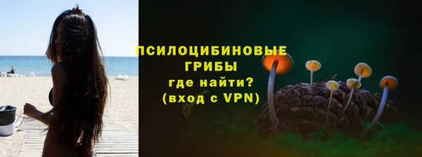 mdpv Осинники