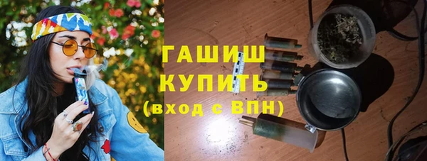 гашик Алексин