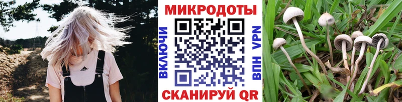 Галлюциногенные грибы мухоморы  купить   Новодвинск 